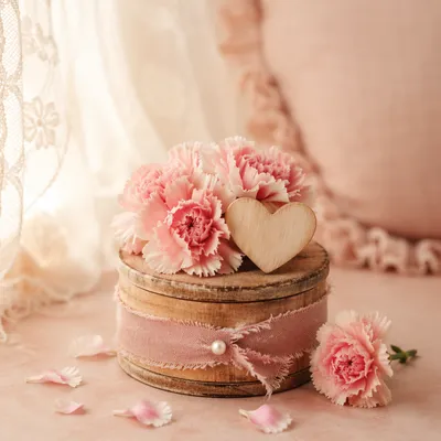 Soft Pink Floral Feminine Background
