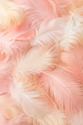 Soft Pink Feather Pastel Background Texture