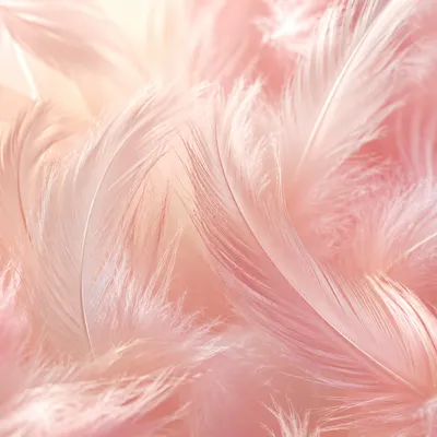 Soft Pastel Pink Feather Background