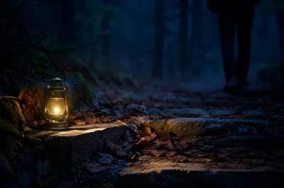 Lantern Lighting a Forest Path at Dusk