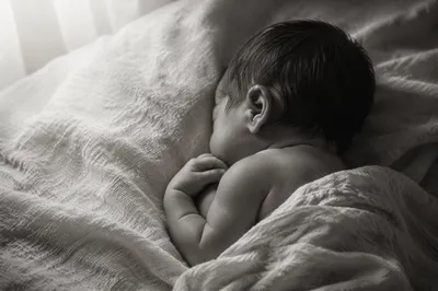 Peaceful Newborn Resting in Soft Shadows