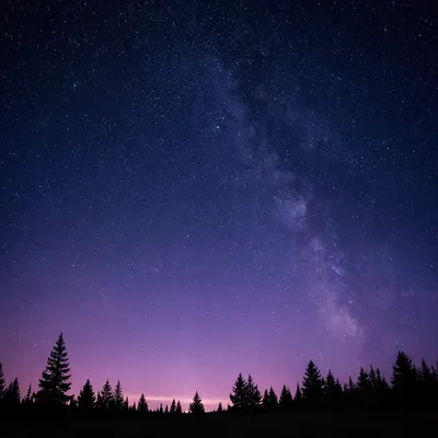 Starry Night Sky Over Forest Silhouette