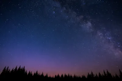 Starry Night Sky Above Forest Silhouette