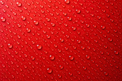 Vibrant Red Water Droplet Background