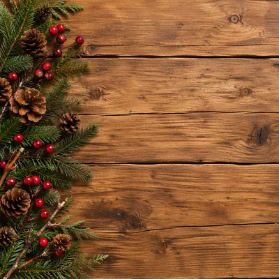 Rustic Wood Background with Winter Greenery