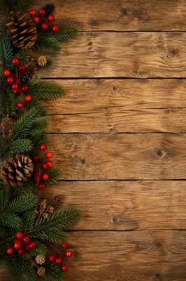 Rustic Wood Background with Winter Border