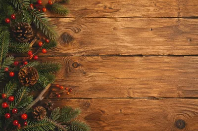 Rustic Wood Background with Winter Greenery