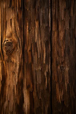 Warm Rustic Wood Plank Texture