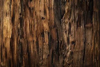 Warm Rustic Wood Plank Texture