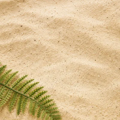 Fine Beach Sand with Green Fern Accent
