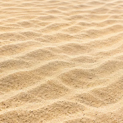 Wind Rippled Beach Sand Texture Background