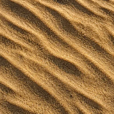 Golden Beach Sand Ripple Texture