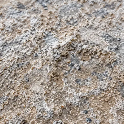 Coarse Beach Sand Macro Texture Background