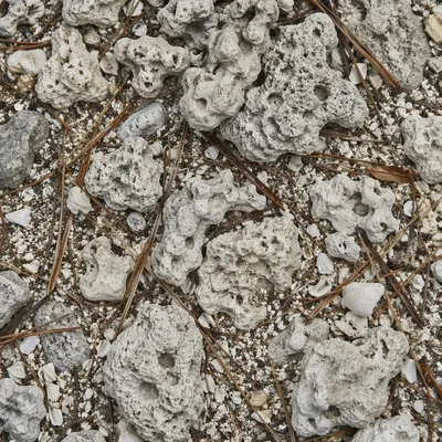 Macro Beach Sand and Limestone Texture