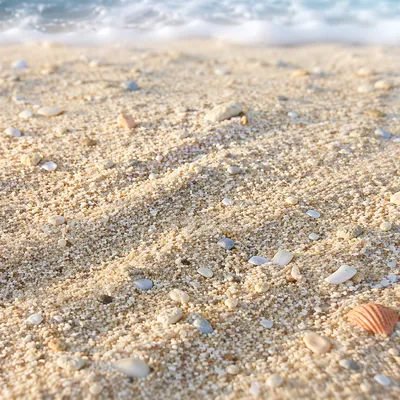Sunlit Beach Sand Macro Texture