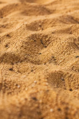 Golden Beach Sand Macro Background