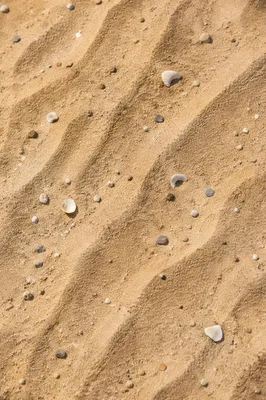 Golden Beach Sand Texture Close Up
