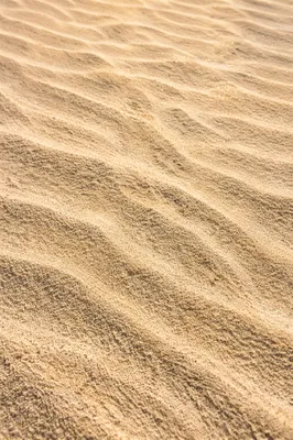 Wind Rippled Beach Sand Texture Background