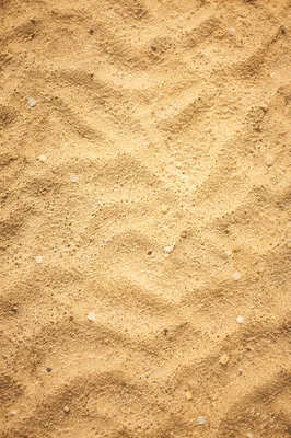 Golden Beach Sand Texture Background