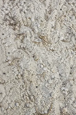 Pale Beach Sand Macro Texture Background