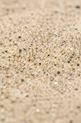 Warm Beach Sand Texture Background