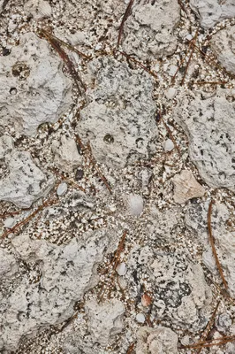 Quiet Beach Sand and Limestone Texture