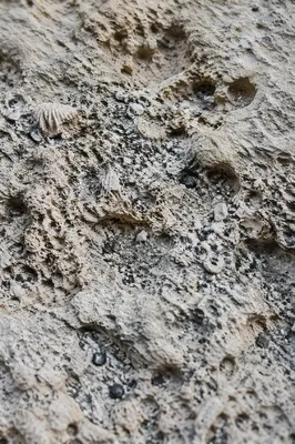Weathered Beach Sand Macro Texture