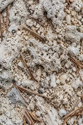 Macro Beach Sand and Limestone Texture