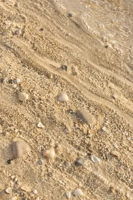 Peaceful Macro Beach Sand Texture
