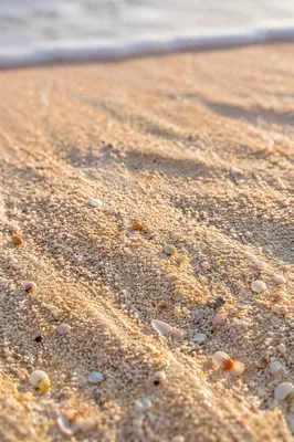 Macro Beach Sand Texture Background