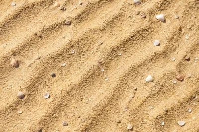 Golden Beach Sand Texture Background