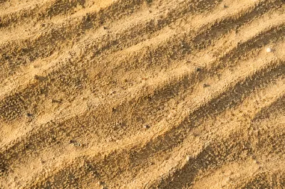 Golden Beach Sand Ripple Texture Background
