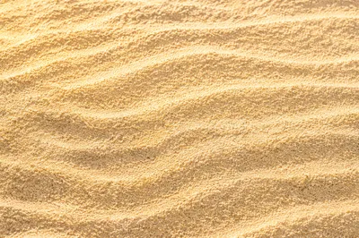 Serene Beach Sand Ripple Texture Background