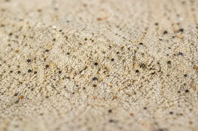 Warm Beach Sand Texture Background