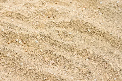 Natural Beach Sand Texture Close Up