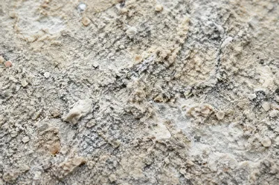 Coarse Beach Sand Macro Texture