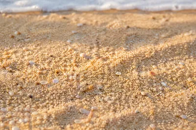 Fine Beach Sand Texture in Morning Light