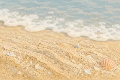 Close Up Beach Sand Texture