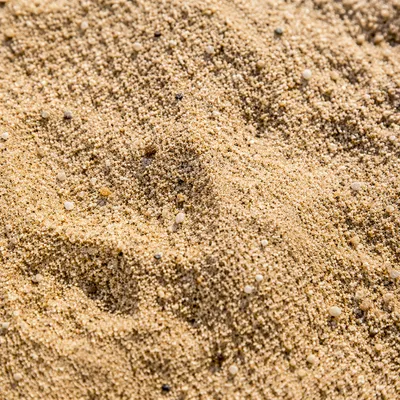 Photorealistic Beach Sand Macro Texture