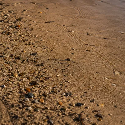 Golden Beach Sand Macro Texture Background