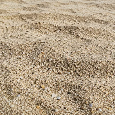 Photorealistic Beach Sand Texture Close Up