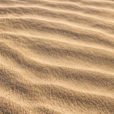 Warm Beach Sand Ripple Texture Background