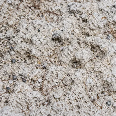 Pale Beach Sand Macro Texture Background