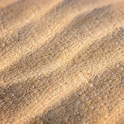 Warm Beach Sand Texture Macro Background