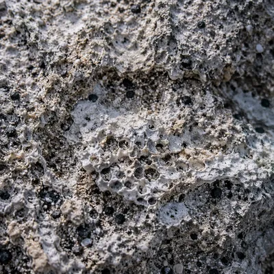 Weathered Beach Sand Macro Texture