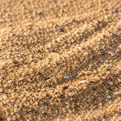 Close Up Beach Sand Texture