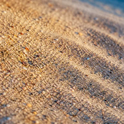 Macro Beach Sand Grains at Sunrise