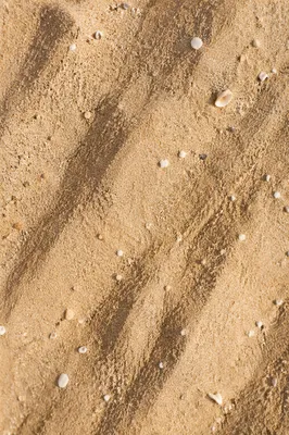 Golden Beach Sand Texture Background