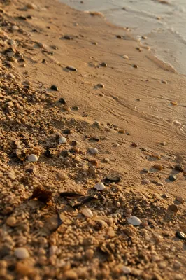 Golden Beach Sand Macro Texture Background