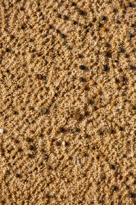 Photorealistic Beach Sand Macro Texture